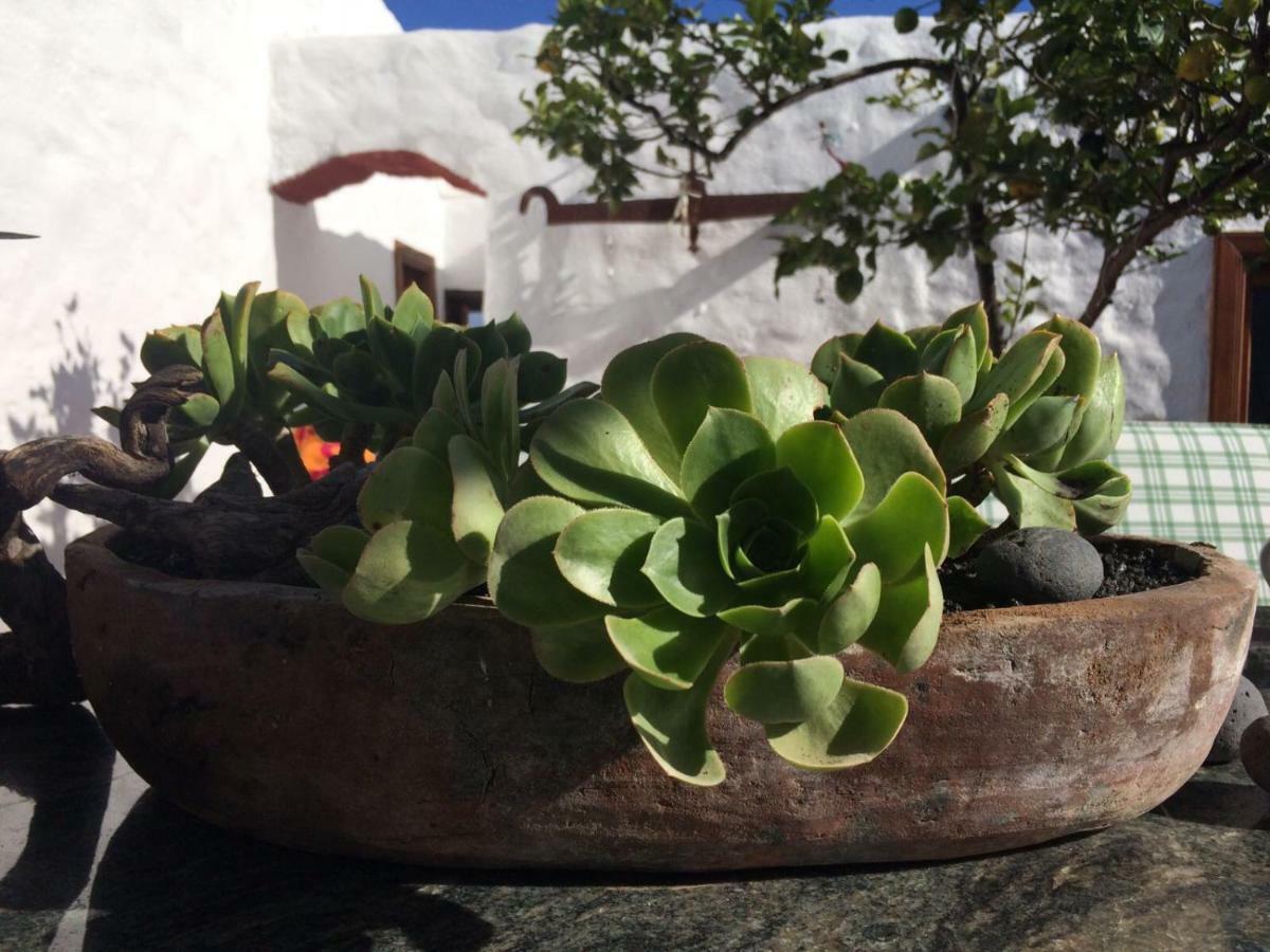 Los Valles Casa Alegria 아파트 외부 사진